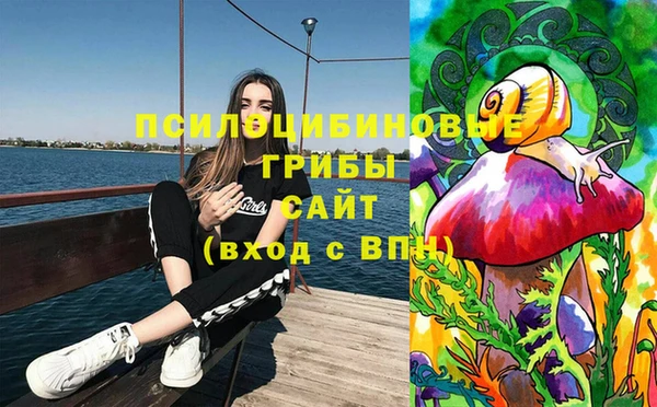 кокс Нея