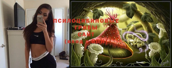 кокс Нея