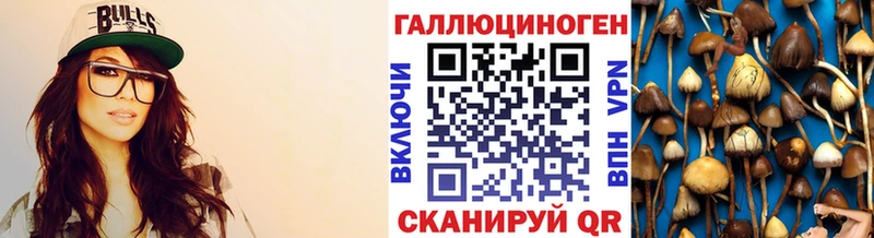 наркота  Советск  Галлюциногенные грибы Magic Shrooms 